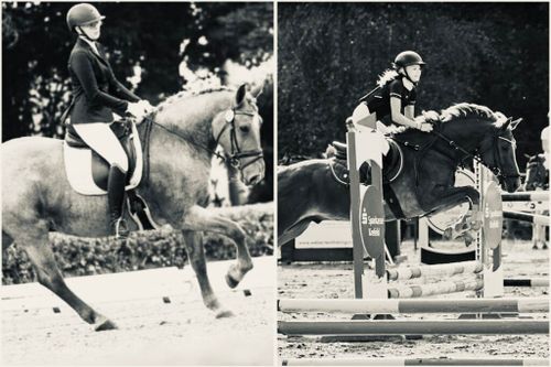 Dressur und Springturnier