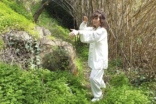 Seminar: Tai Chi Chuan