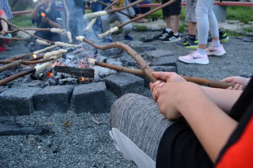 Heufest-Tour: Aktivitäten auf dem Kirschkamperhof