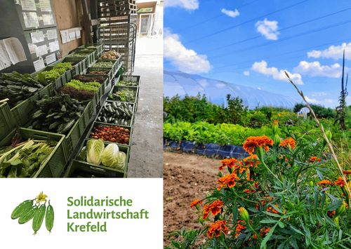 Öffentliche Ackerführung der Solidarischen Landwirtschaft Krefeld