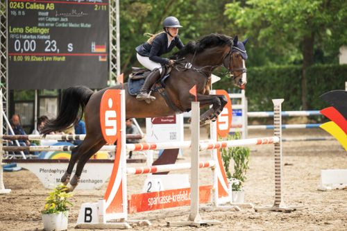 Großes Dressur- und Springturnier