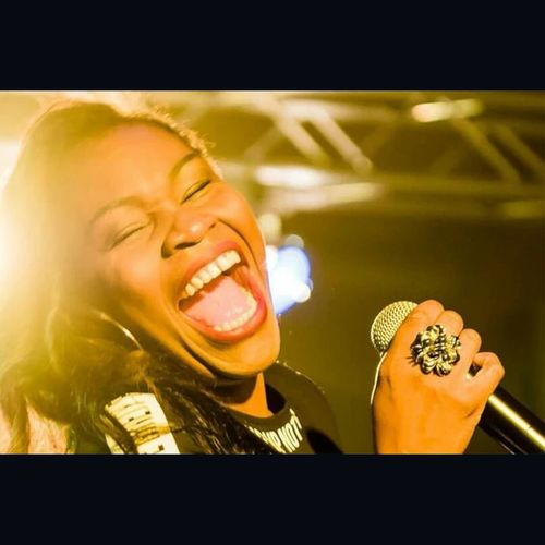 ANDY PILGERS FUNKY SUMMER