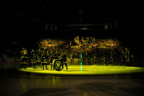 Krefeld Pinguine - ESV Kaufbeuren