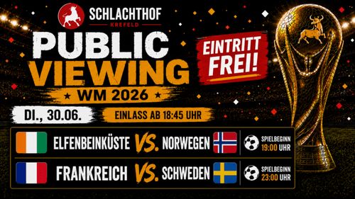 🔥 PUBLIC VIEWING WM 2026 🔥