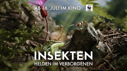 Kino im historischen Klärwerk: Insekten – Helden im Verborgenen (2026)