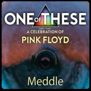 One Of These – A Celebration of Pink Floyd