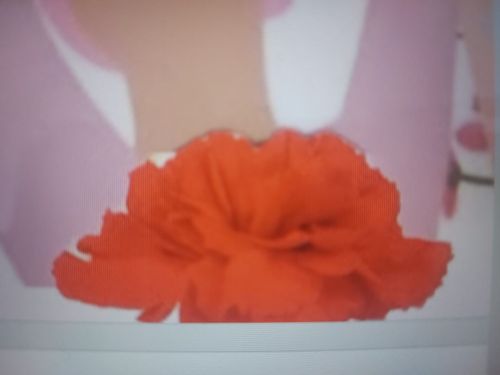 Internationaler Weltfrauentag