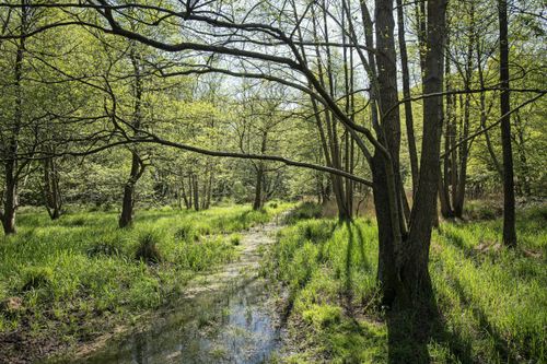 Die schönsten Wanderungen und Ausflüge in die Natur