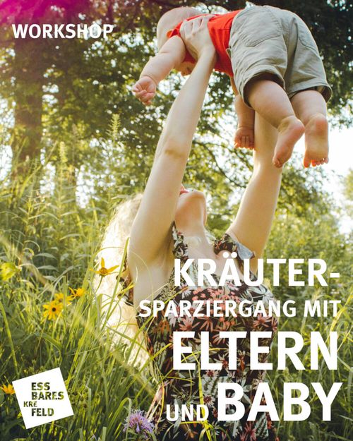 Kräuterspaziergang für Eltern & Babys