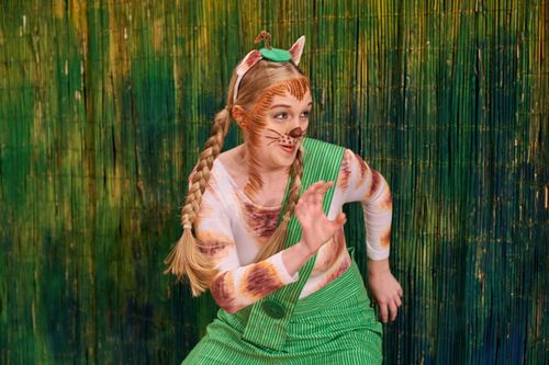 Die Abenteuer von Pettersson und Findus