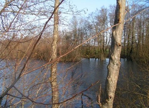 Radtour Kreis Viersen Juli - Natur "erfahren"