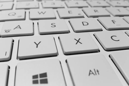 Kurs für Computer-Anfänger