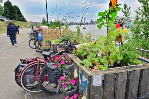 Mitmach-Sonntag an der Rhine Side