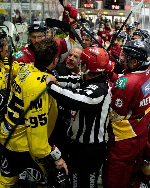 Krefeld Pinguine - Düsseldorfer EG