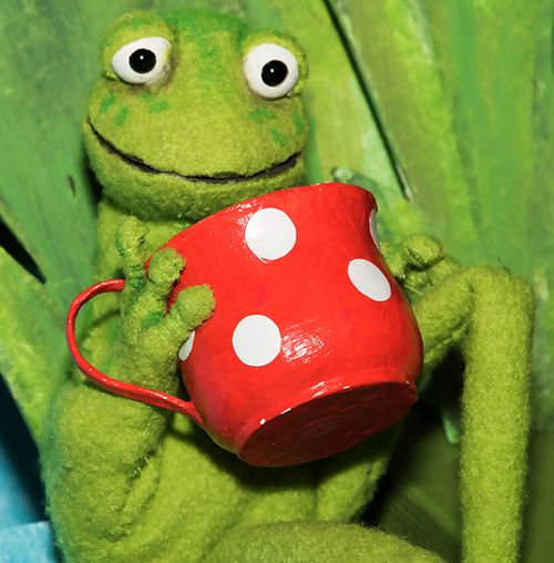 Der wunderbarste Platz auf der WeltMehr erfahren