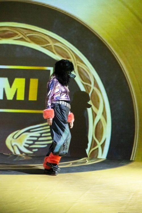 Pudelpunk Song Contest