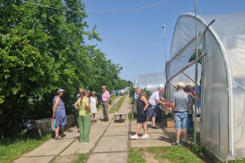 Heufest-Tour: Gärtnerei Gemüsekollektiv