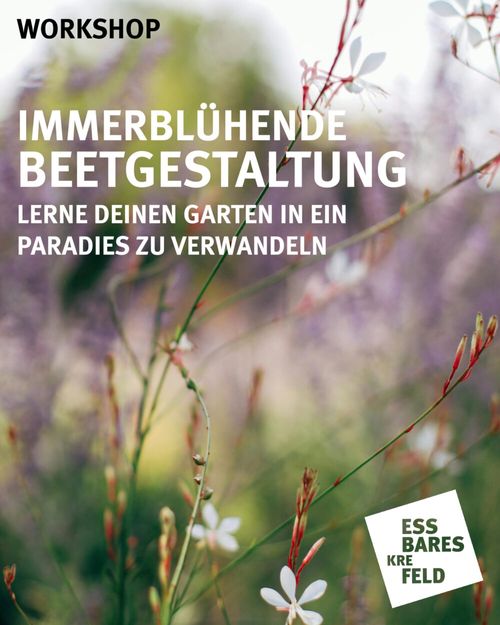 Immerblühende Beetgestaltung