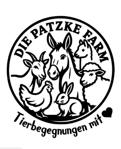 Alpaka, Esel oder Ziege – Begegnungen und Wanderungen im Fischelner Bruch