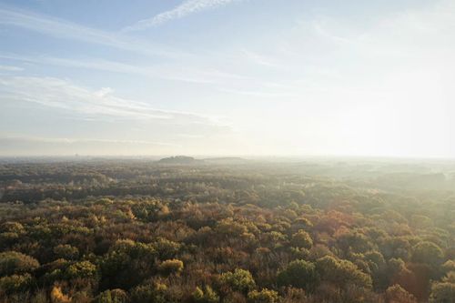 Waldbaden mal anders – Entspannung trifft Faszination