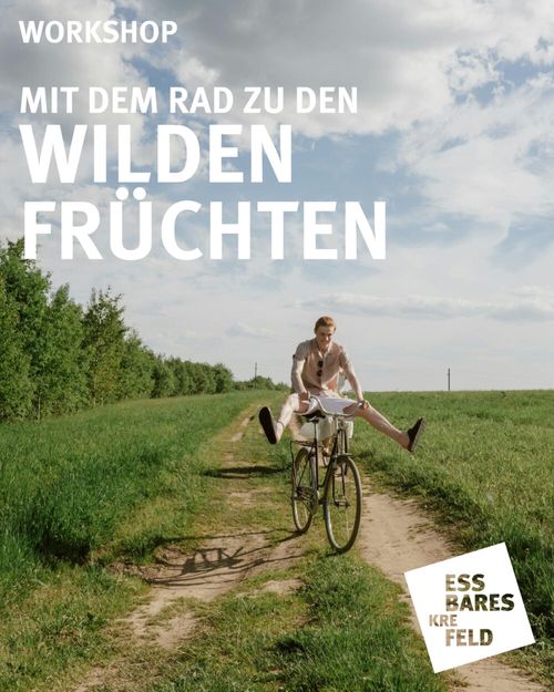 Mit dem Rad zu den wilden Früchten (Schätzen)